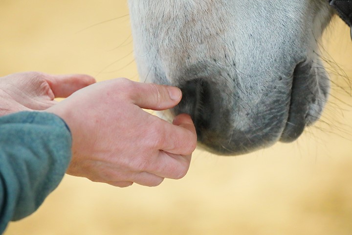 Energetische Balance